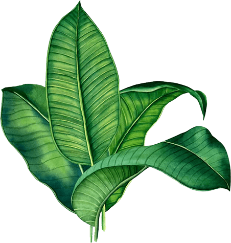 Tiệm Bánh Bò Vị Quê}